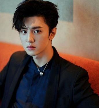 圈内爆料陈哲远李兰迪是真的吗,圈内爆料真实性揭秘